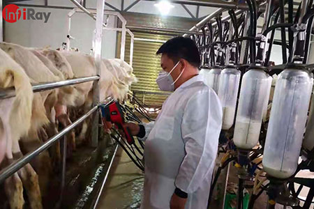 تطبيق التصوير الحراري في صناعة الألبان : اكتشاف المرض في الأبقار والماعز في الوقت المناسب