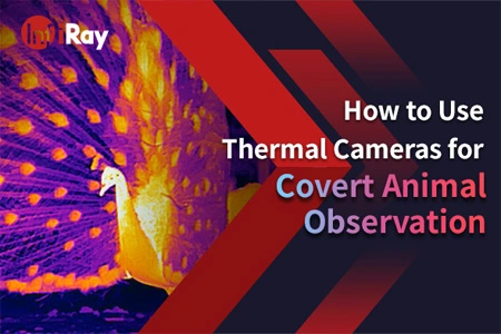 كيفية استخدام الكاميرات الحرارية لمراقبة الحيوانات السرية