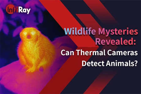 كشف أسرار الحياة البرية: هل يمكن للكاميرات الحرارية اكتشاف الحيوانات ؟